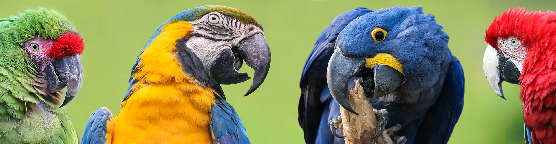 TravelSecure® Service - Reisewarnung und Einreisebestimmungen Venezuela