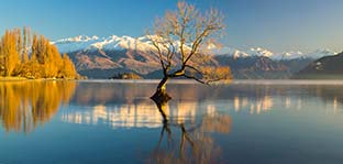 reisewarnung und einreisebestimmung neuseeland