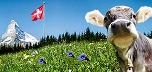 reisewarnung und einreisebestimmung schweiz