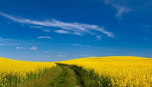  grafik reisewarnung und einreisebestimmung Ukraine