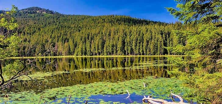 Wo wandern in Deutschland: Bayerischen Wald