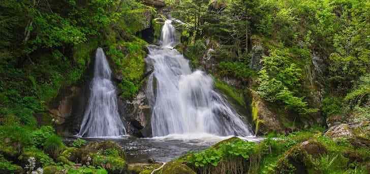 Wo wandern in Deutschland: Schwarzwald