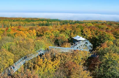 TravelSecure: Baumkronenpfad – Hainich, Thüringen