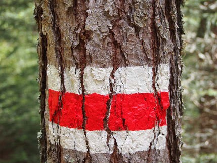 Schwierigkeitsgrade und worauf Sie beim Wandern achten müssen: Markierungen auf Bäumen und Pfählen