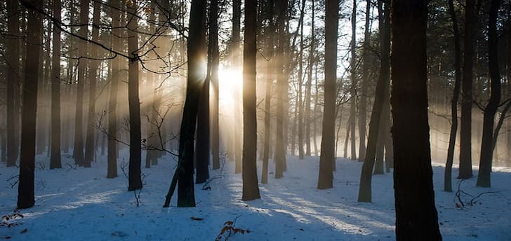 Wandern im Winter: Richtig vorbereitet unterwegs bei Schnee und Kälte!