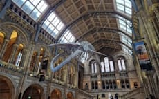 TravelSecure Tag 1: Natural History Museum